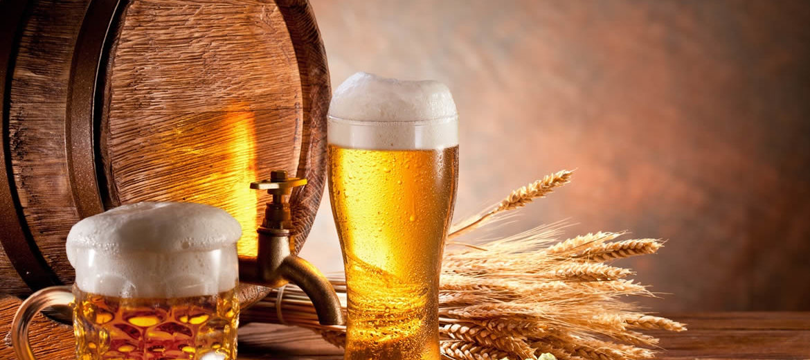 É hoje! 2º Festival da Cerveja no Bosque Municipal de Pinhais