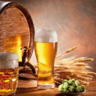 É hoje! 2º Festival da Cerveja no Bosque Municipal de Pinhais